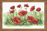 03237 Набор для вышивания крестом DIMENSIONS Field of Poppies "Поле маков"
