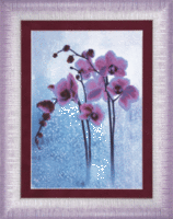 Набор для вышивки бисером Чарівна Мить Б-673 "Дикая орхидея"