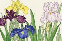 фото XBD14  Набір для вишивання хрестом Iris Blooms "Ірис цвіте"